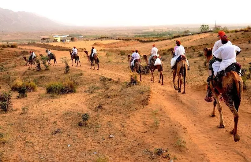 ホテル Pushkar Adventure Camp And Camel Safari