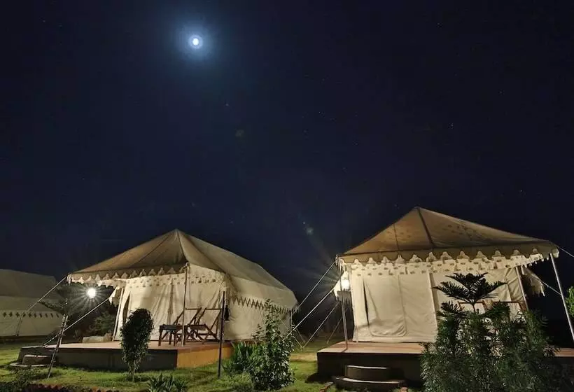 ホテル Pushkar Adventure Camp And Camel Safari