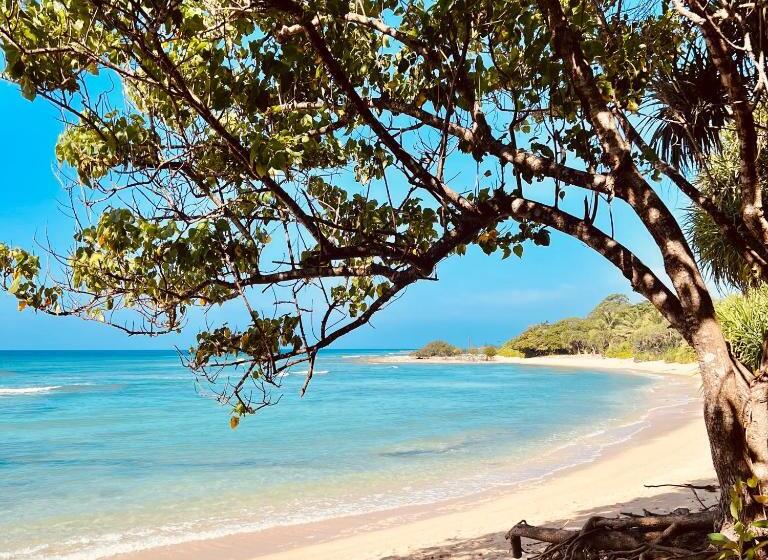 בית מלון כפרי Blue Sea Restaurant & Bungalows