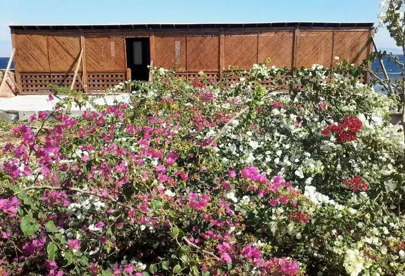 هتل Amanda Beach Garden