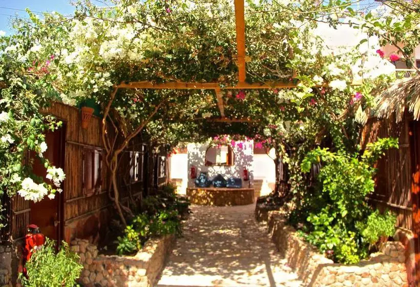 هتل Amanda Beach Garden