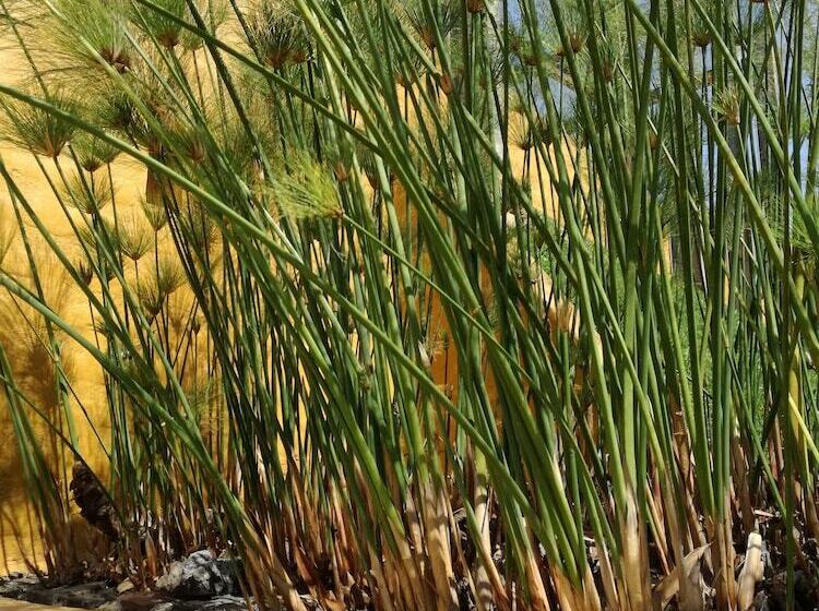 فندق Casa En El Campo