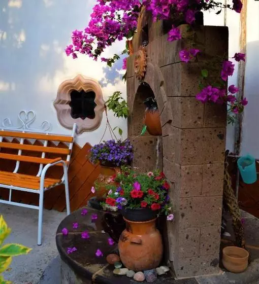 Отель Posada Y Spa Jade Teotihuacan