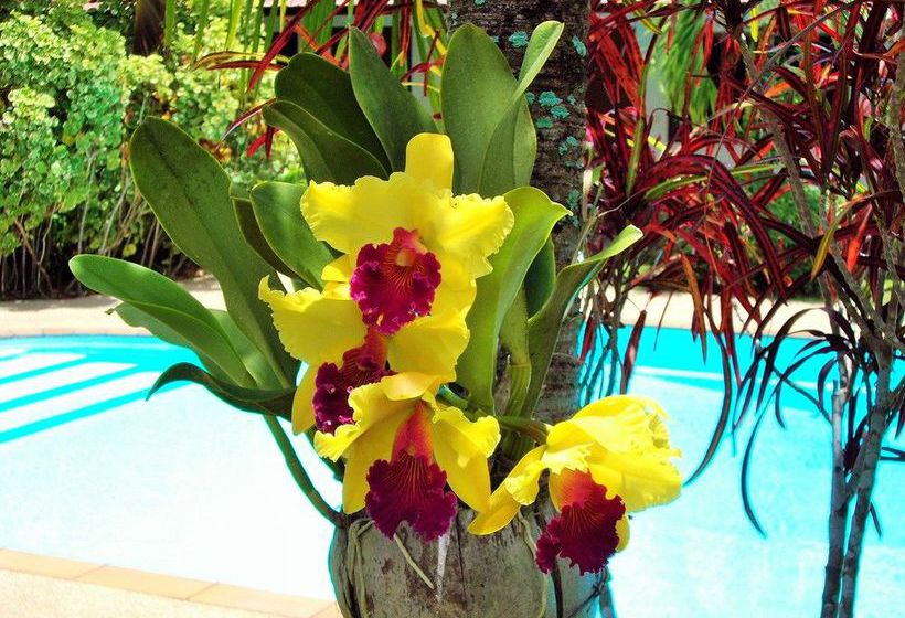 فندق The Golddigger's Resort