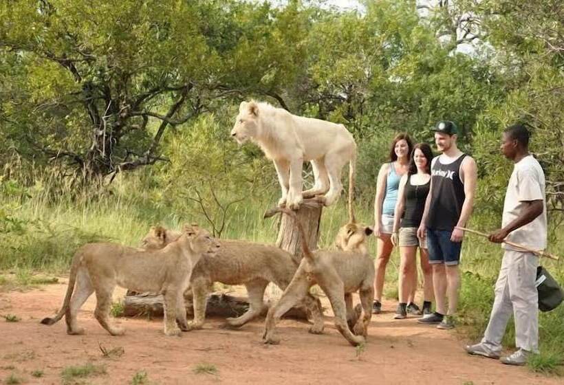 ペンション Villa D Or Guest House