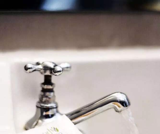 تختخواب و صبحانه Art Factory Soho