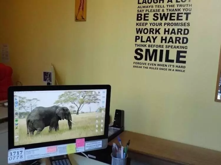 Homestay Bristol   Hostel