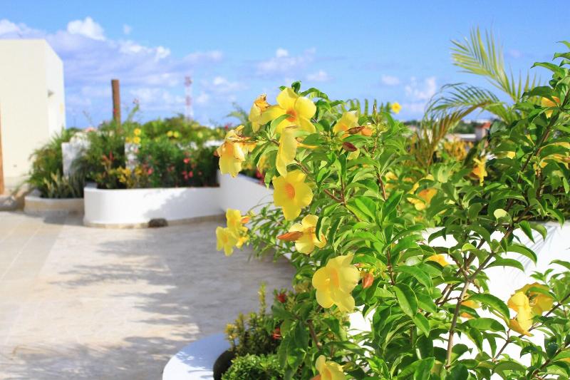 בית מלון כפרי Angelo S