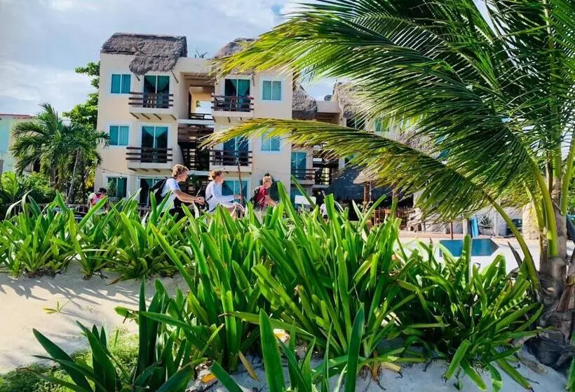 ホテル Arenas Mahahual