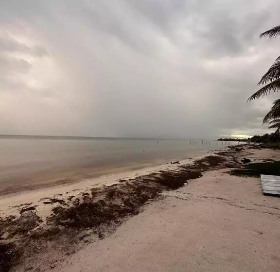 ホテル Arenas Mahahual