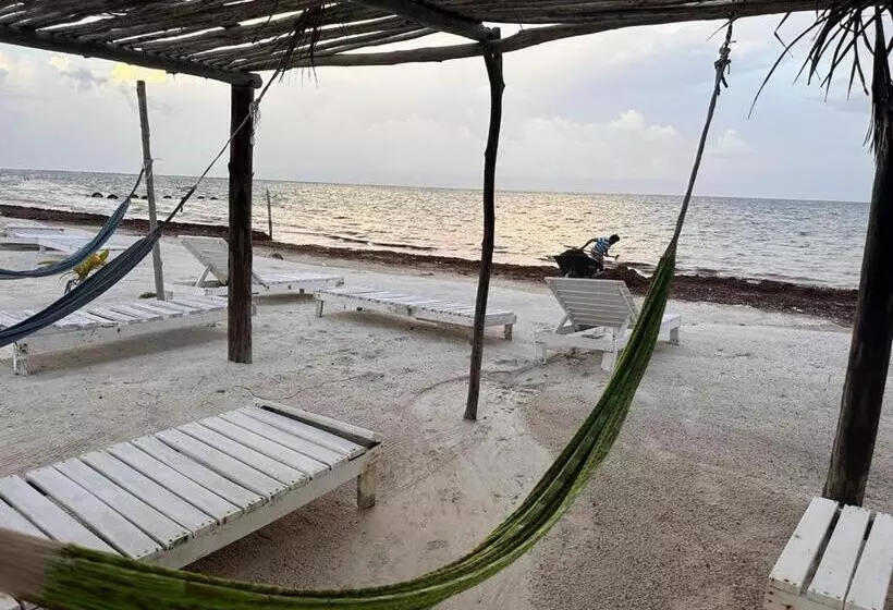 ホテル Arenas Mahahual