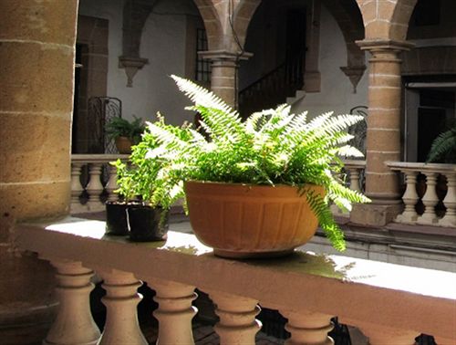 ホテル Casa Grande De Taxco
