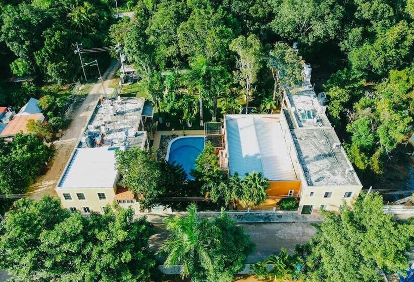 בית מלון כפרי Los Cedros Uayamon