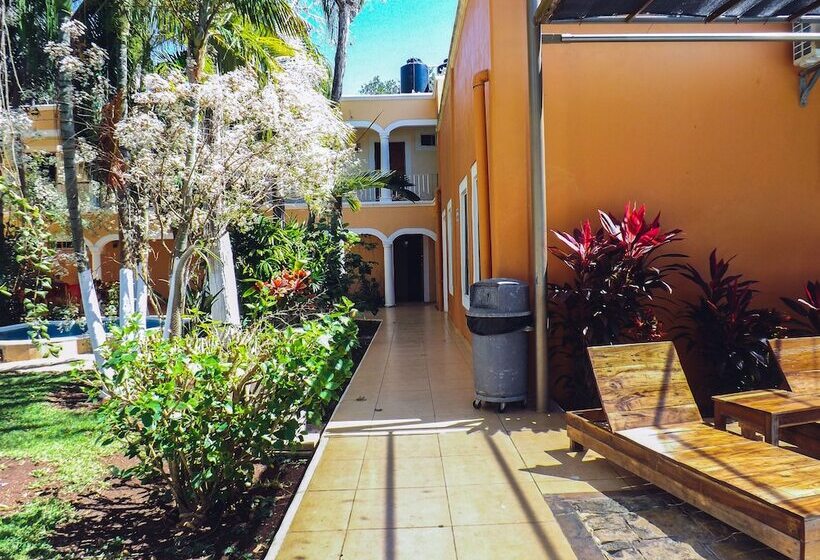 בית מלון כפרי Los Cedros Uayamon