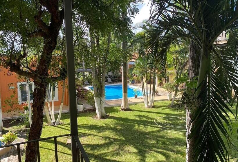 בית מלון כפרי Los Cedros Uayamon