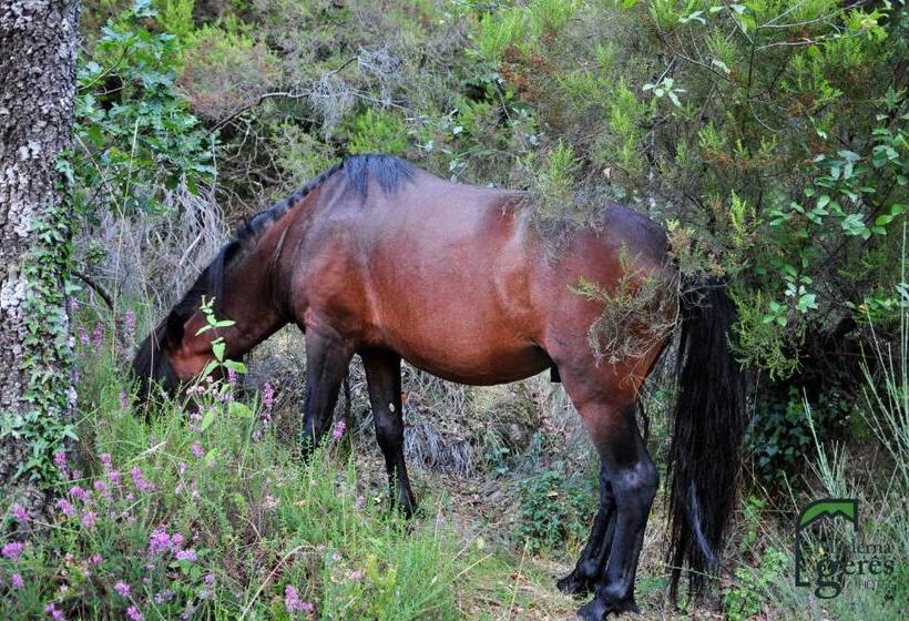 فندق Moderna Do Geres