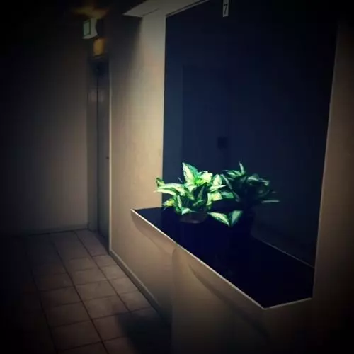 Promenade Apartments Gold Coast