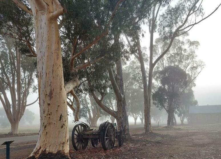 فندق Greenhills Inn