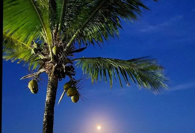 ホテル Laus Bangalôs Experience   Piscina Privativa   Praia De Algodões   Península De Maraú   Bahia