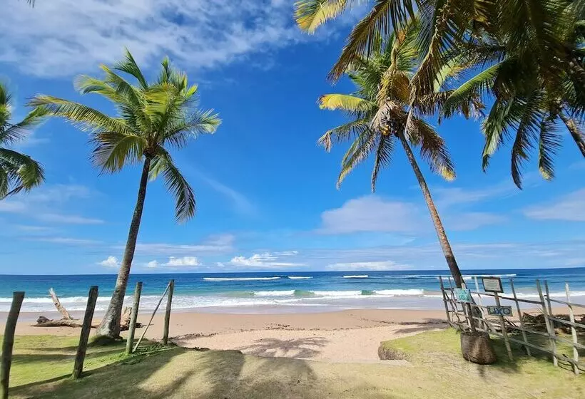 ホテル Laus Bangalôs Experience   Piscina Privativa   Praia De Algodões   Península De Maraú   Bahia
