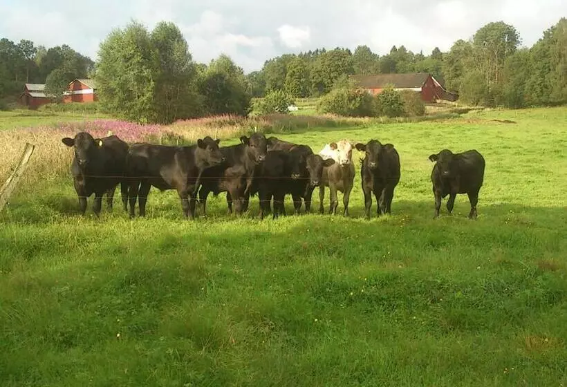 ホテル övraby Stuga