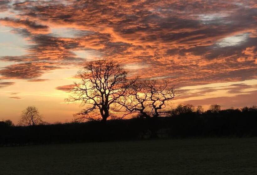 تختخواب و صبحانه Brickfields Farm