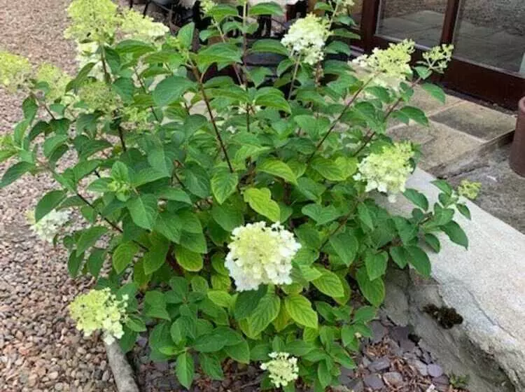 צימר Brickfields Farm