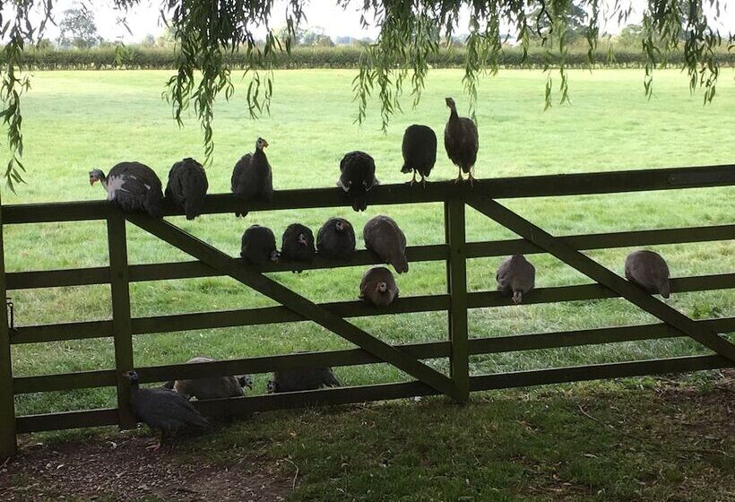 تختخواب و صبحانه Brickfields Farm