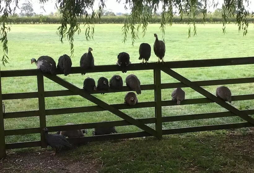 צימר Brickfields Farm