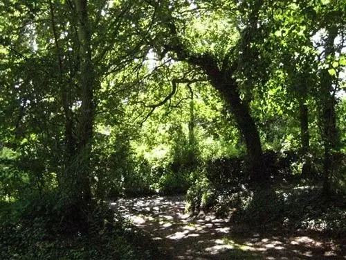 Bed & Breakfast Bulmer Tye House