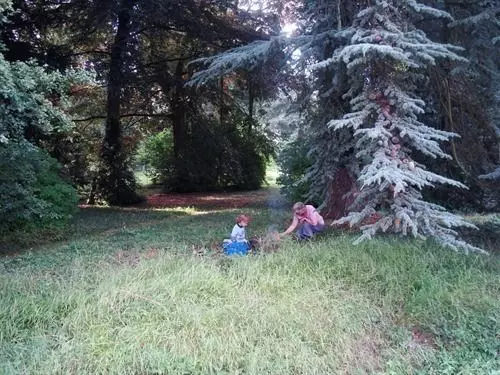 Bed & Breakfast Bulmer Tye House