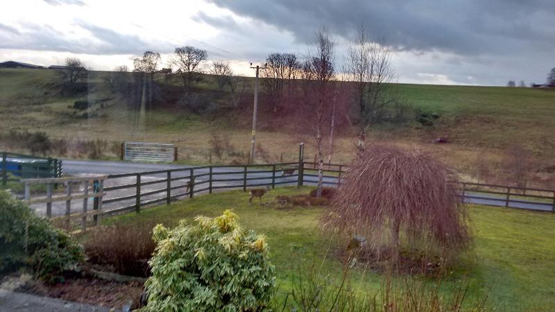 צימר Ornum House