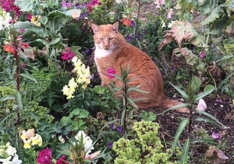 Calendar Cottage Bed & Breakfast