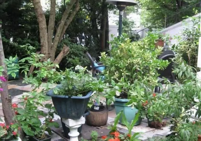 Dawson Place, Juliette's Bed And Breakfast