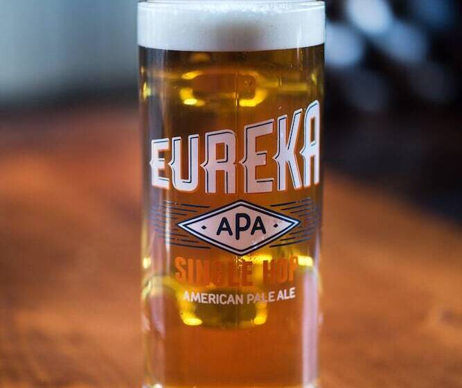 בית מלון כפרי County Arms