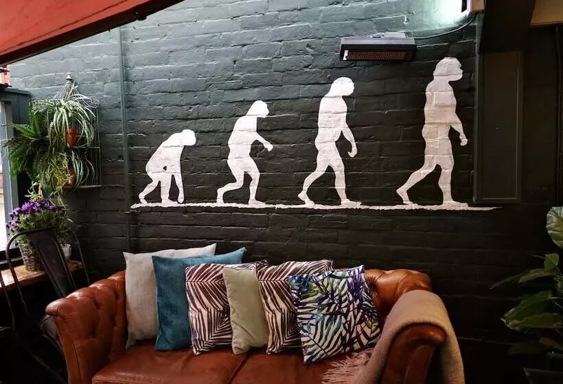 ホテル Darwins Kitchen