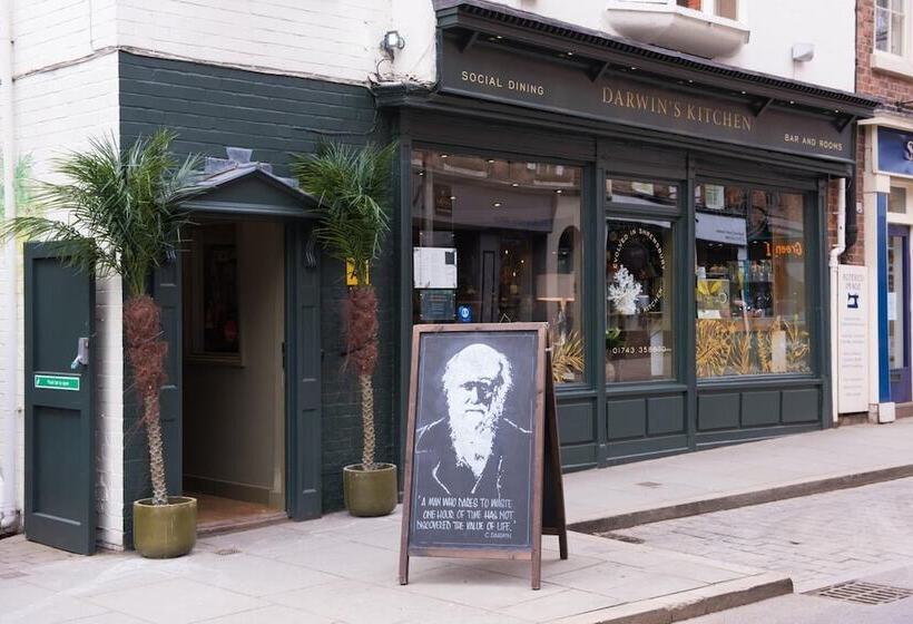 فندق Darwins Kitchen