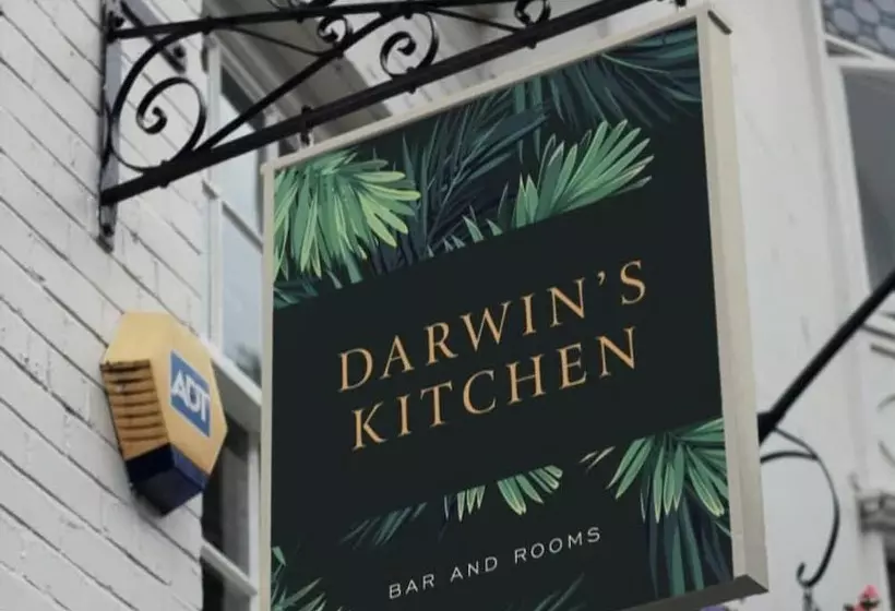 ホテル Darwins Kitchen