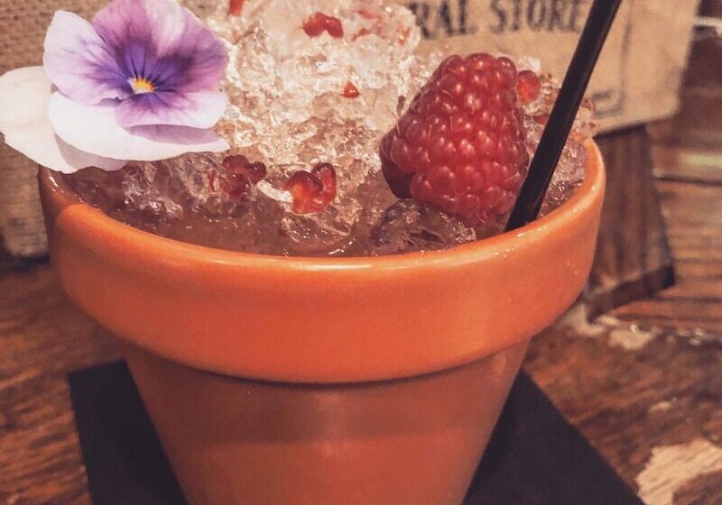 فندق Darwins Kitchen