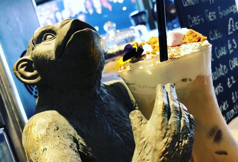 فندق Darwins Kitchen