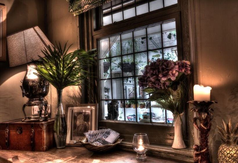 فندق Darwins Kitchen