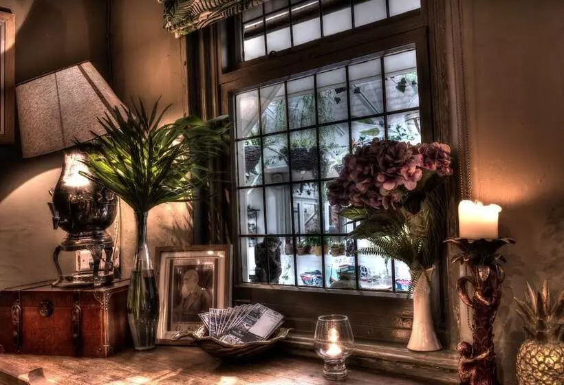 ホテル Darwins Kitchen