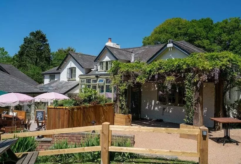 Отель High Corner Inn