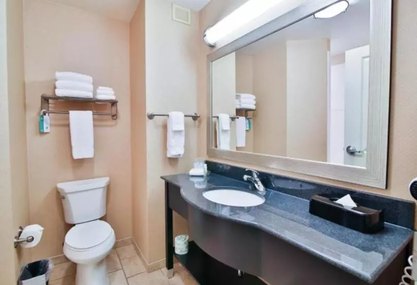 فندق Holiday Inn Bismarck, An Ihg