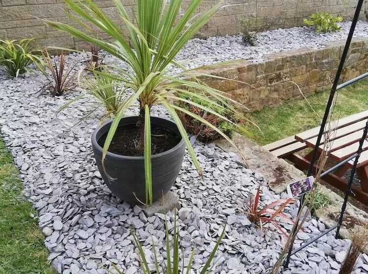 בית מלון כפרי The Captain Cook Inn