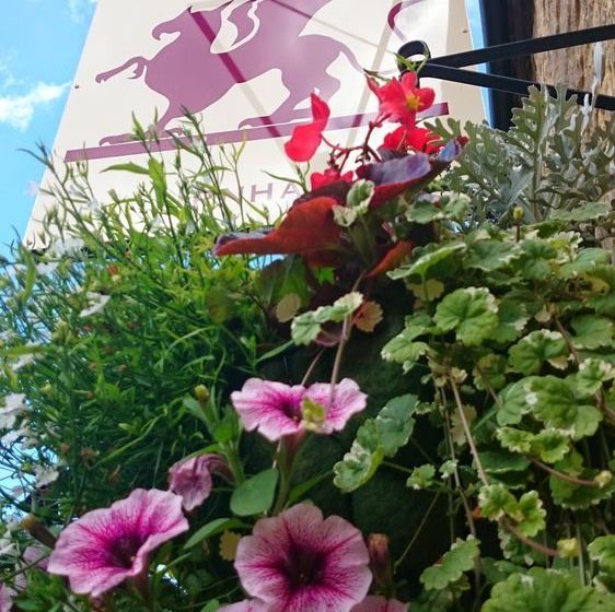 فندق The Griffin Inn