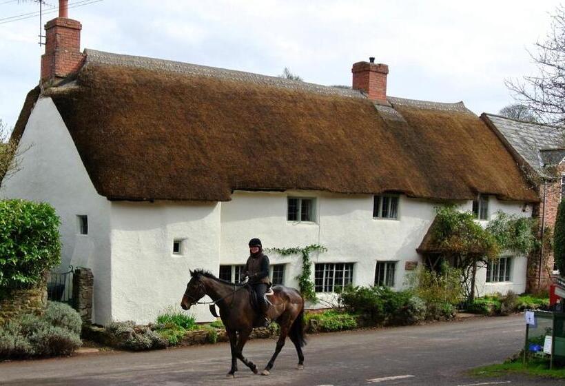 בית מלון כפרי Notley Arms Inn Exmoor National Park