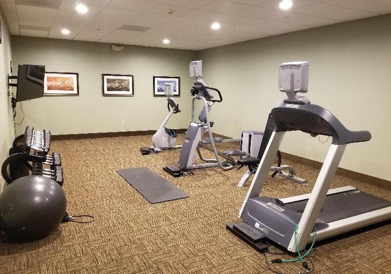 Staybridge Suites Toledo   Rossford   Perrysburg, An Ihg