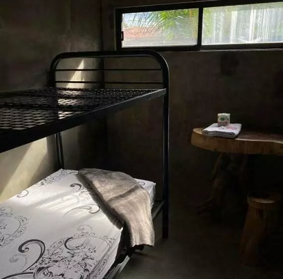 ベッドアンドブレックファースト Dumahostel