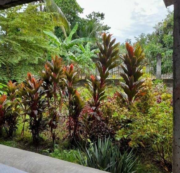 Bed and Breakfast Dumahostel